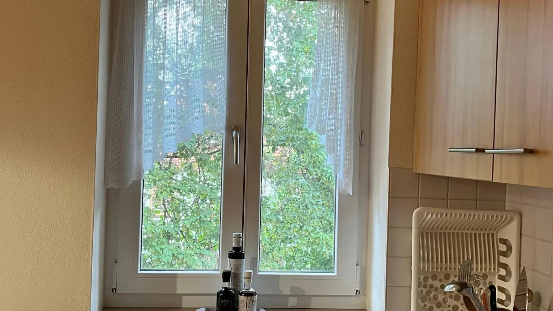 Charmantes Appartement - Muenchen